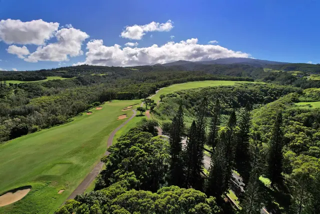 Listing Image for 309 Plantation Estates Dr 23 of 36