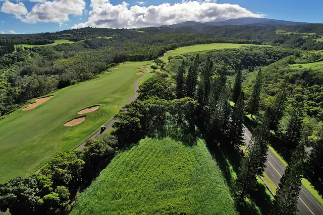 Listing Image for 309 Plantation Estates Dr 24 of 36