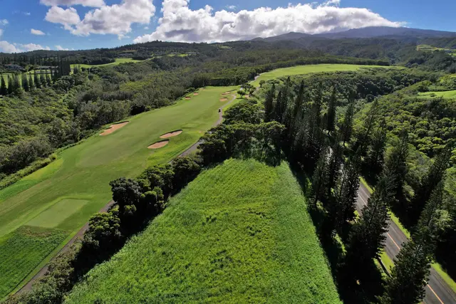 Listing Image for 309 Plantation Estates Dr 25 of 36