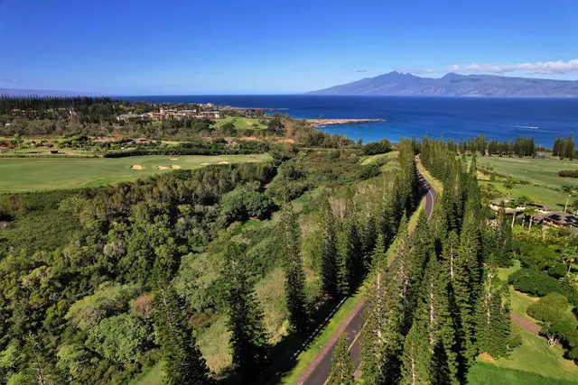 Listing Image for 309 Plantation Estates Dr 27 of 36