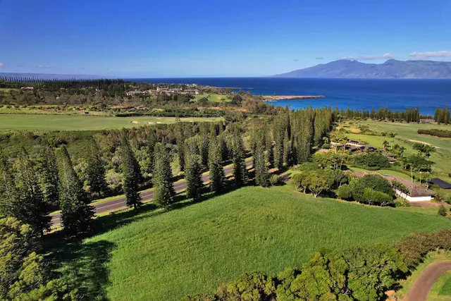 Listing Image for 309 Plantation Estates Dr 29 of 36