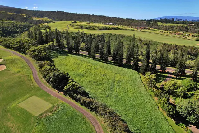 Listing Image for 309 Plantation Estates Dr 31 of 36