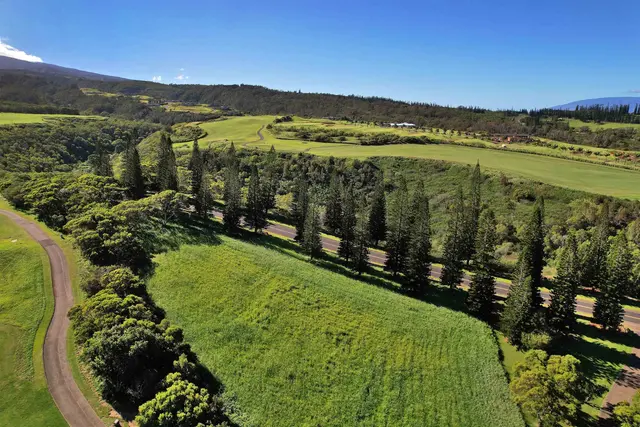 Listing Image for 309 Plantation Estates Dr 32 of 36