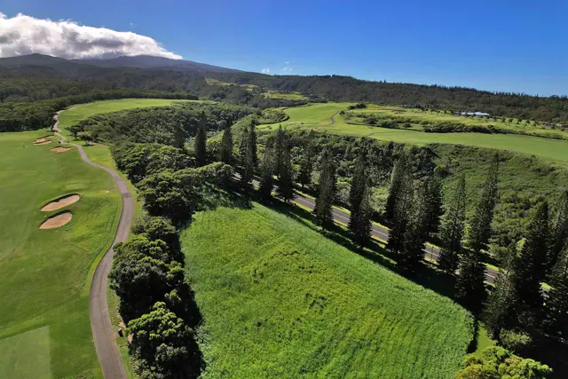 Listing Image for 309 Plantation Estates Dr 33 of 36