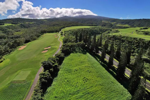 Listing Image for 309 Plantation Estates Dr 34 of 36
