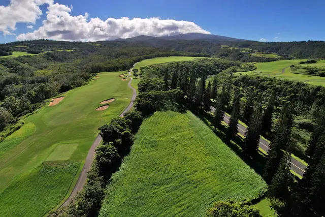 Listing Image for 309 Plantation Estates Dr 35 of 36