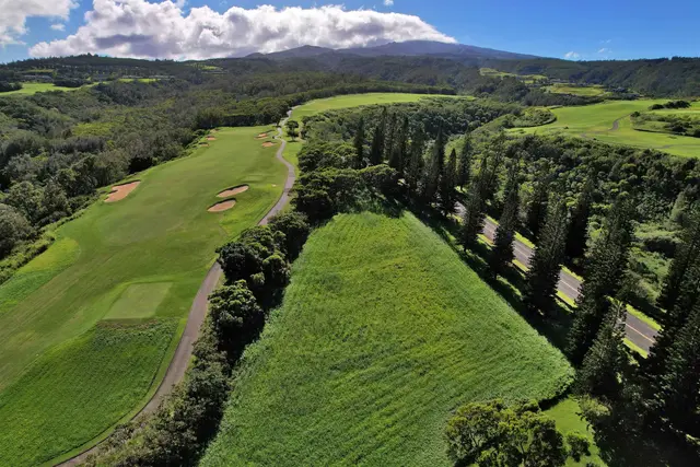 Listing Image for 309 Plantation Estates Dr 36 of 36