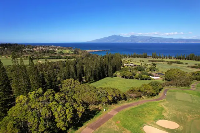 Listing Image for 309 Plantation Estates Dr 6 of 36