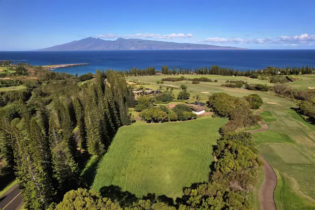 Listing Image for 309 Plantation Estates Dr 7 of 36