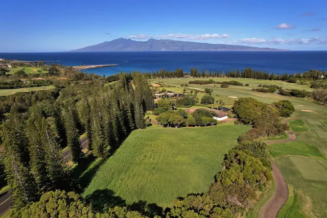 Listing Image for 309 Plantation Estates Dr 8 of 36