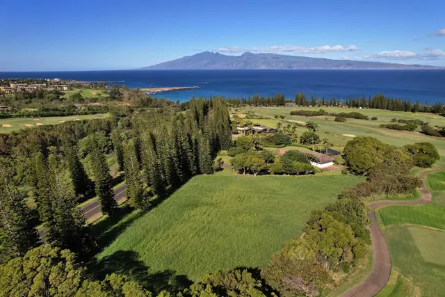 Listing Image for 309 Plantation Estates Dr 9 of 36