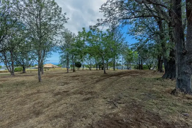 Listing Image for 26 Kula Hwy Unit A 21 of 32