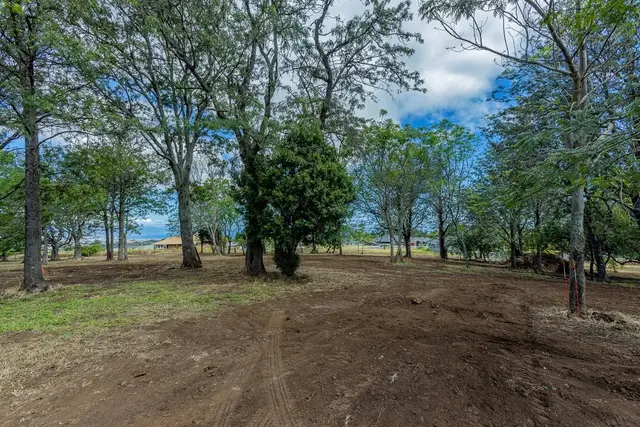 Listing Image for 26 Kula Hwy Unit A 22 of 32