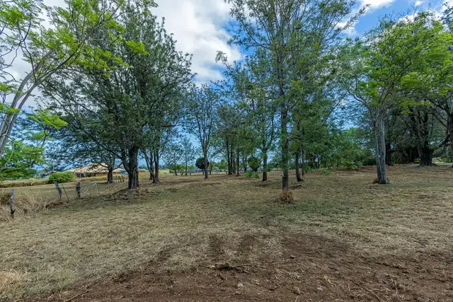 Listing Image for 26 Kula Hwy Unit A 23 of 32