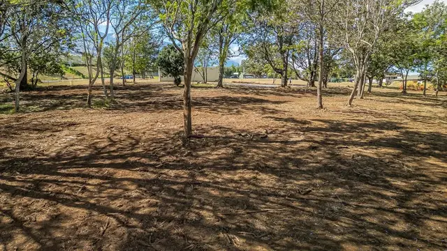 Listing Image for 26 Kula Hwy Unit A 28 of 32