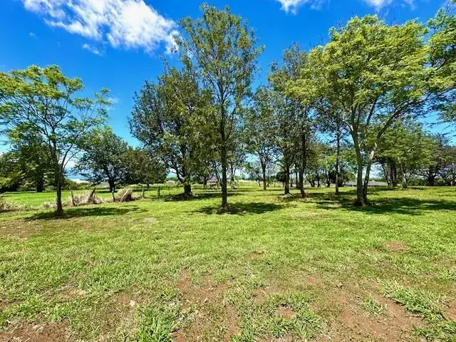 Listing Image for 26 Kula Hwy Unit A 7 of 32