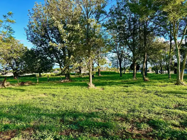 Listing Image for 26 Kula Hwy Unit A 9 of 32