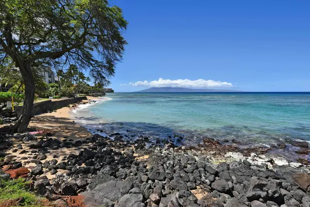 Listing Image for 3959 Lower Honoapiilani Rd 104 50 of 50