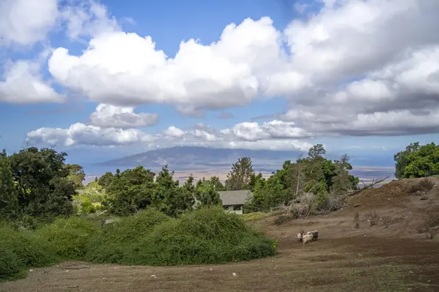 Listing Image for 850 Kekaulike Ave Unit B 6 of 8