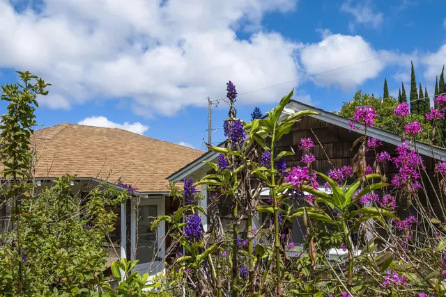 Listing Image for 16 Maukanani Rd 31 of 37