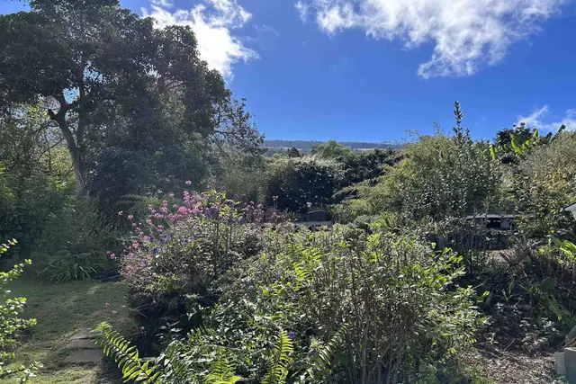 Listing Image for 16 Maukanani Rd 32 of 37
