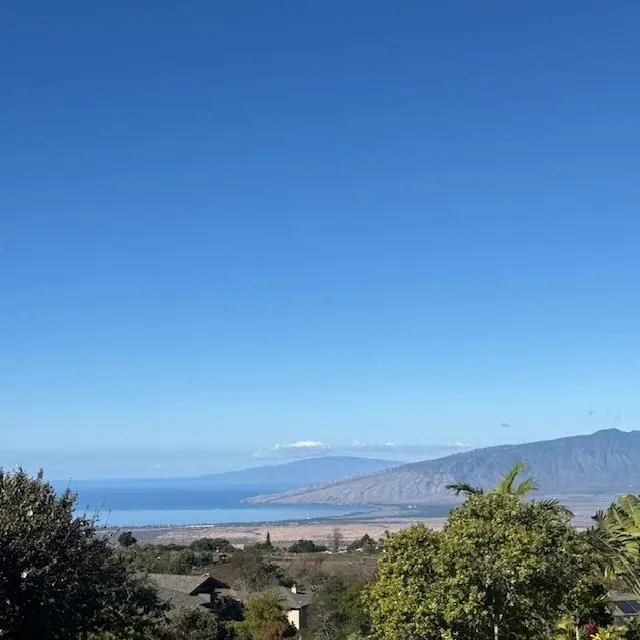 Listing Image for 35 Kapalulu Pl 3 of 8