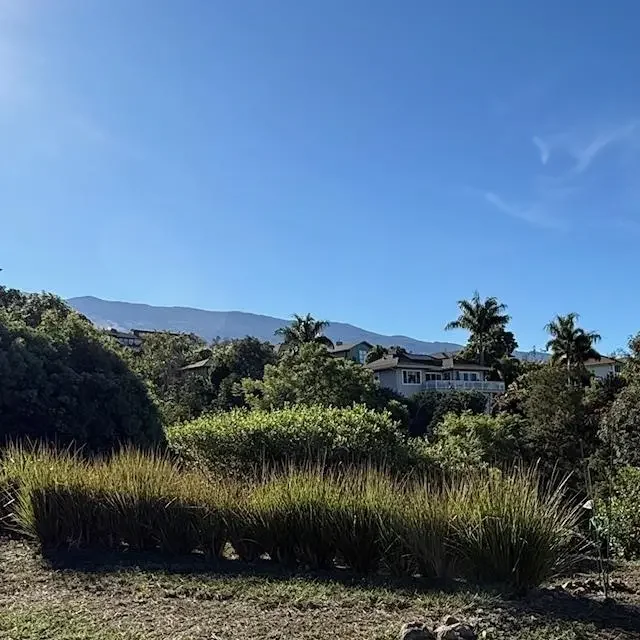 Listing Image for 35 Kapalulu Pl 6 of 8