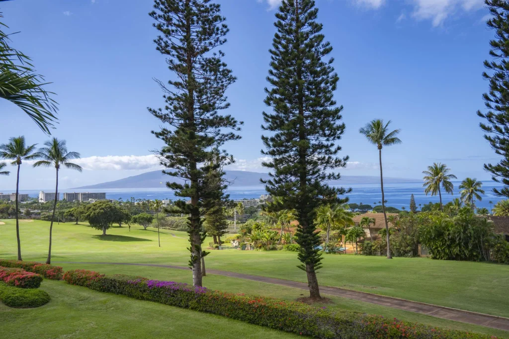 50 Puu Anoano St 1204, Kaanapali