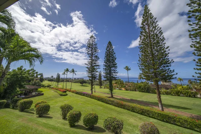 Listing Image for 50 Puu Anoano St 1204 36 of 50