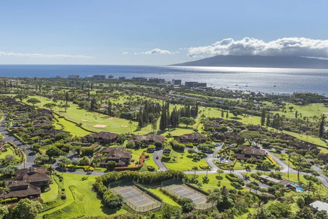 Listing Image for 50 Puu Anoano St 1204 41 of 50