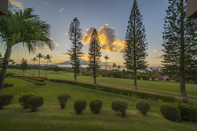 Listing Image for 50 Puu Anoano St 1204 43 of 50