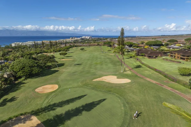 Listing Image for 50 Puu Anoano St 1204 8 of 50