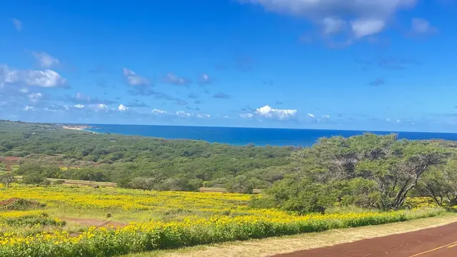 Listing Image for 0 Kalua Koi Rd 1 of 13