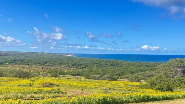 Listing Image for 0 Kalua Koi Rd 2 of 13