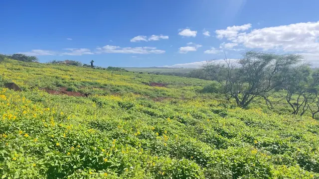Listing Image for 0 Kalua Koi Rd 5 of 13