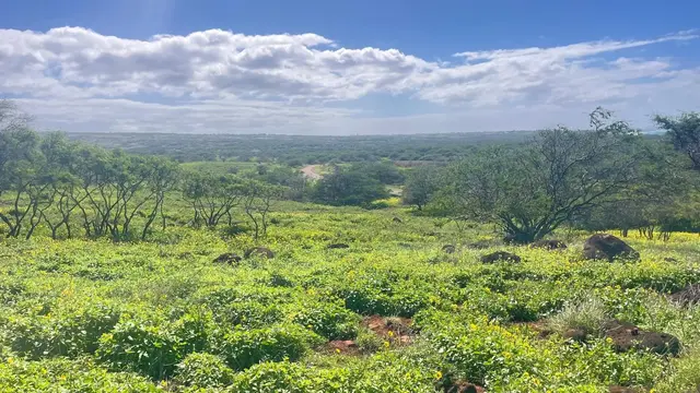 Listing Image for 0 Kalua Koi Rd 6 of 13