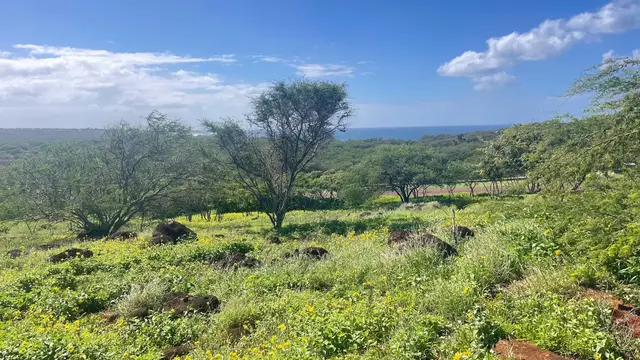 Listing Image for 0 Kalua Koi Rd 7 of 13