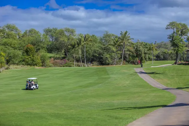 Listing Image for 155 Wailea Ike Pl 136 25 of 25
