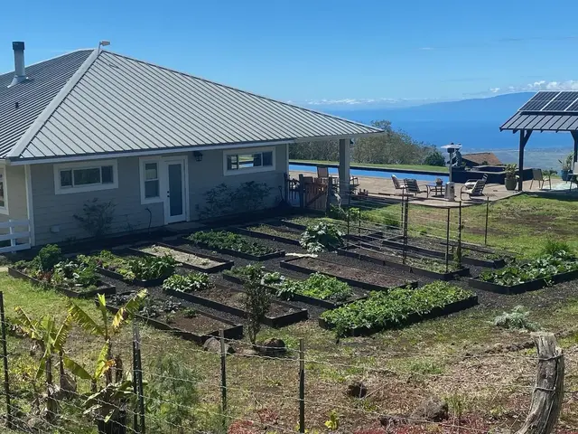 Listing Image for 569 Hapapa Rd 10 of 50