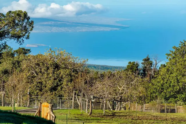 Listing Image for 569 Hapapa Rd 15 of 50