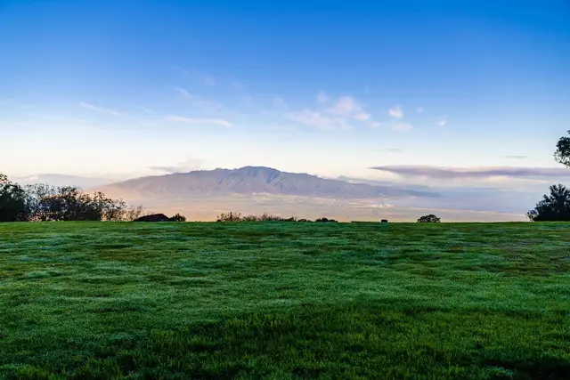 Listing Image for 569 Hapapa Rd 17 of 50