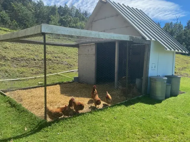 Listing Image for 569 Hapapa Rd 44 of 50
