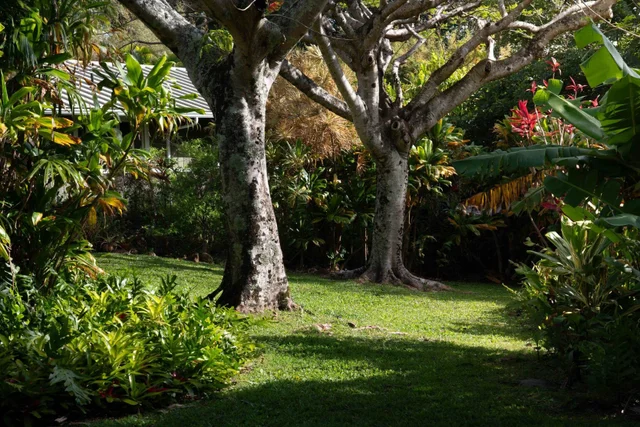 Listing Image for 453 N Honokala Rd 16 of 33