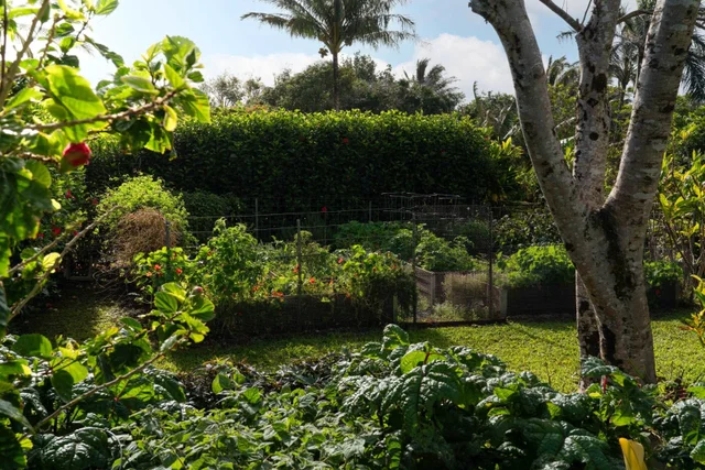 Listing Image for 453 N Honokala Rd 31 of 33