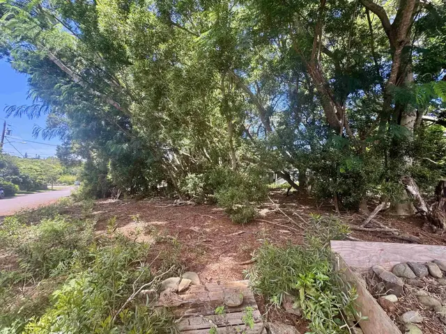 Listing Image for 2084 Akeu Way 4 of 10