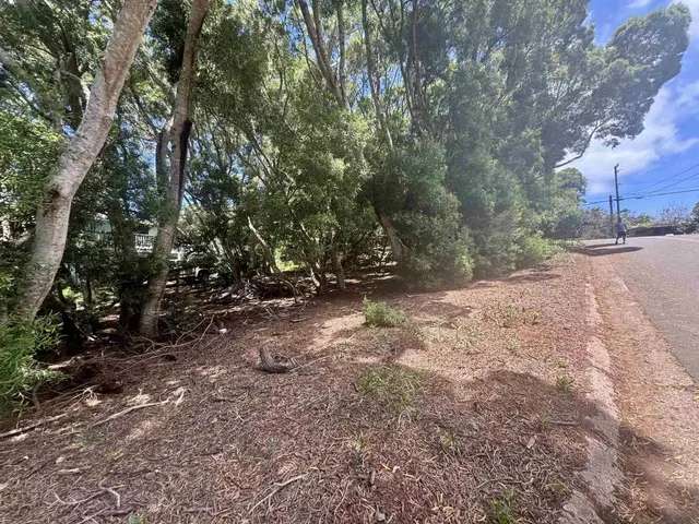 Listing Image for 2084 Akeu Way 5 of 10