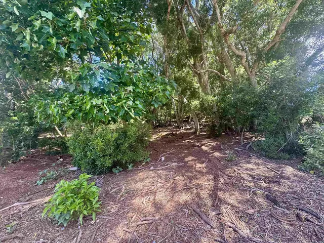 Listing Image for 2084 Akeu Way 6 of 10