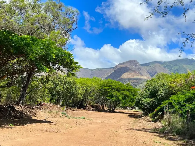 Listing Image for 5757 Kamehameha V Hwy 3 of 10