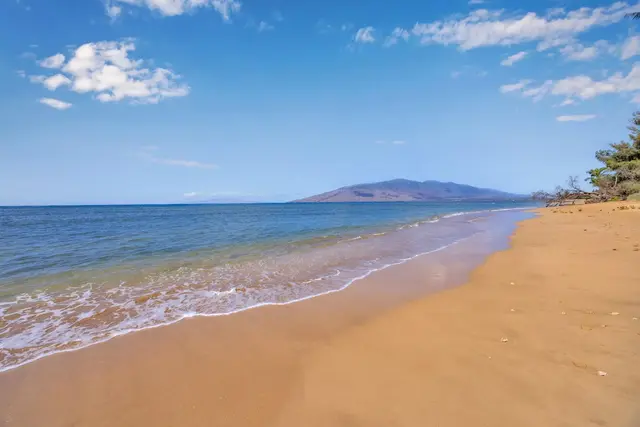 Listing Image for 1450 S Kihei Rd G202 3 of 50