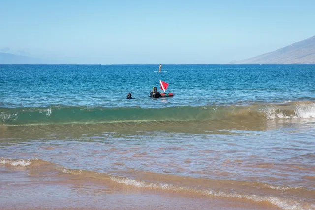 Listing Image for 3200 Wailea Alanui Dr 1803 31 of 35